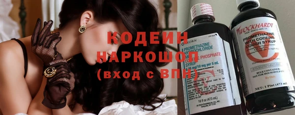 ПСИЛОЦИБИНОВЫЕ ГРИБЫ Богданович