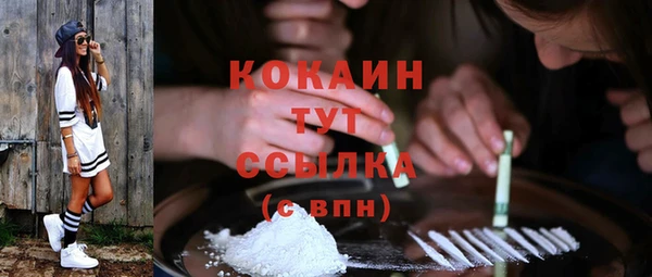 сатива Белоозёрский