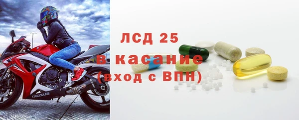 ПСИЛОЦИБИНОВЫЕ ГРИБЫ Богданович