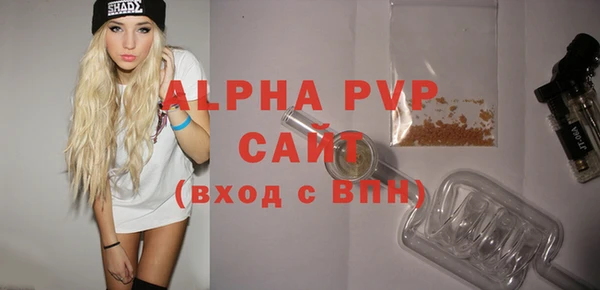 ПСИЛОЦИБИНОВЫЕ ГРИБЫ Богданович