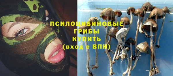 ПСИЛОЦИБИНОВЫЕ ГРИБЫ Богданович