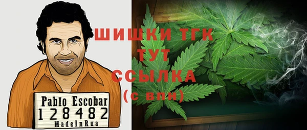 ПСИЛОЦИБИНОВЫЕ ГРИБЫ Богданович