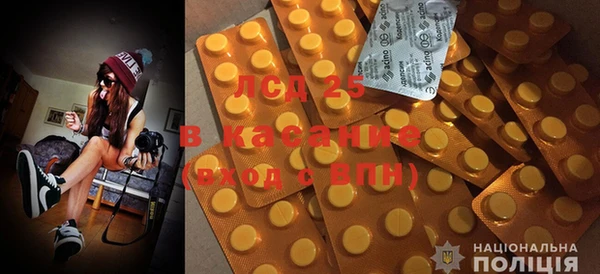 ПСИЛОЦИБИНОВЫЕ ГРИБЫ Богданович